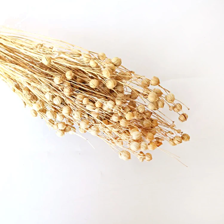 
Bulk Dried Flowers Purple Preserved Flower Dried Flower 