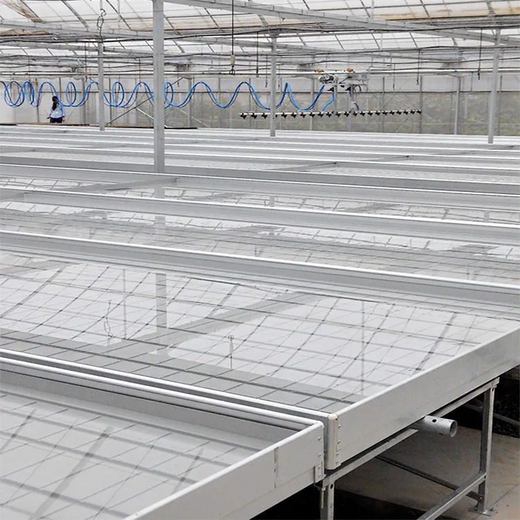 Hydroponic ebb and flow system flood table 4*8 grow tray with stand