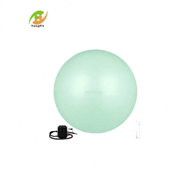 Hot Selling Factory Price Economic Durable Pvc Jumping Ball