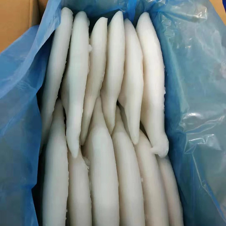 wholesale Fresh frozen squid for sale squid supplier squid tube