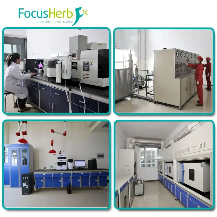 
Top Grade L-Tyrosine, Tyrosine Usp 