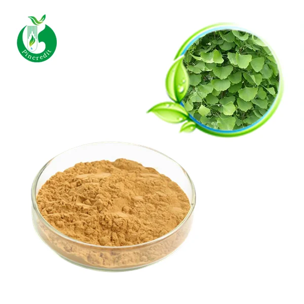 
Hot Sale Natural Ginkgo Biloba Extract Price 