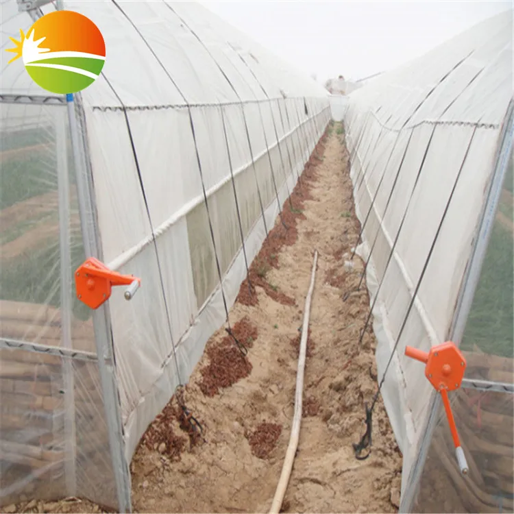 excellent quality mini greenhouse small tunnel greenhouse