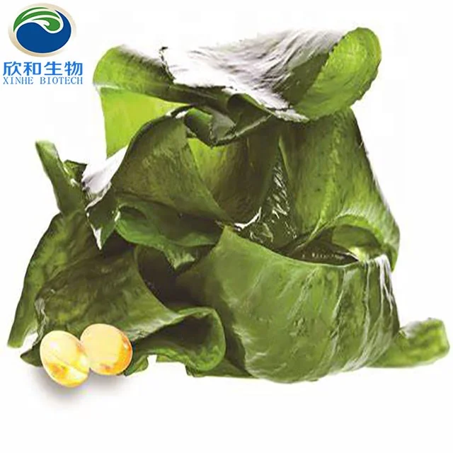 
Algae DHA/ARA Oil for Making Capsule without Fishy Aftertaste and Suitable for Vegetarians 