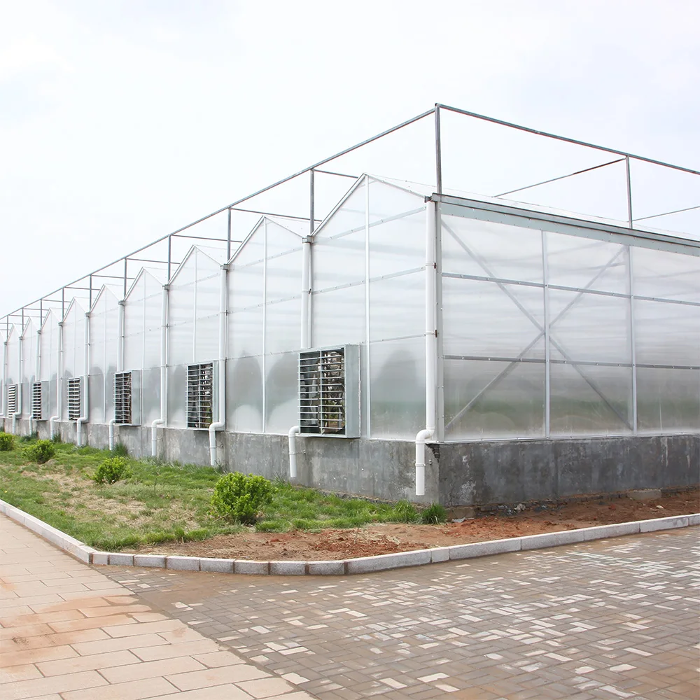high light transmission greenhouse glass panels with 8mm polycarbonate sheet
