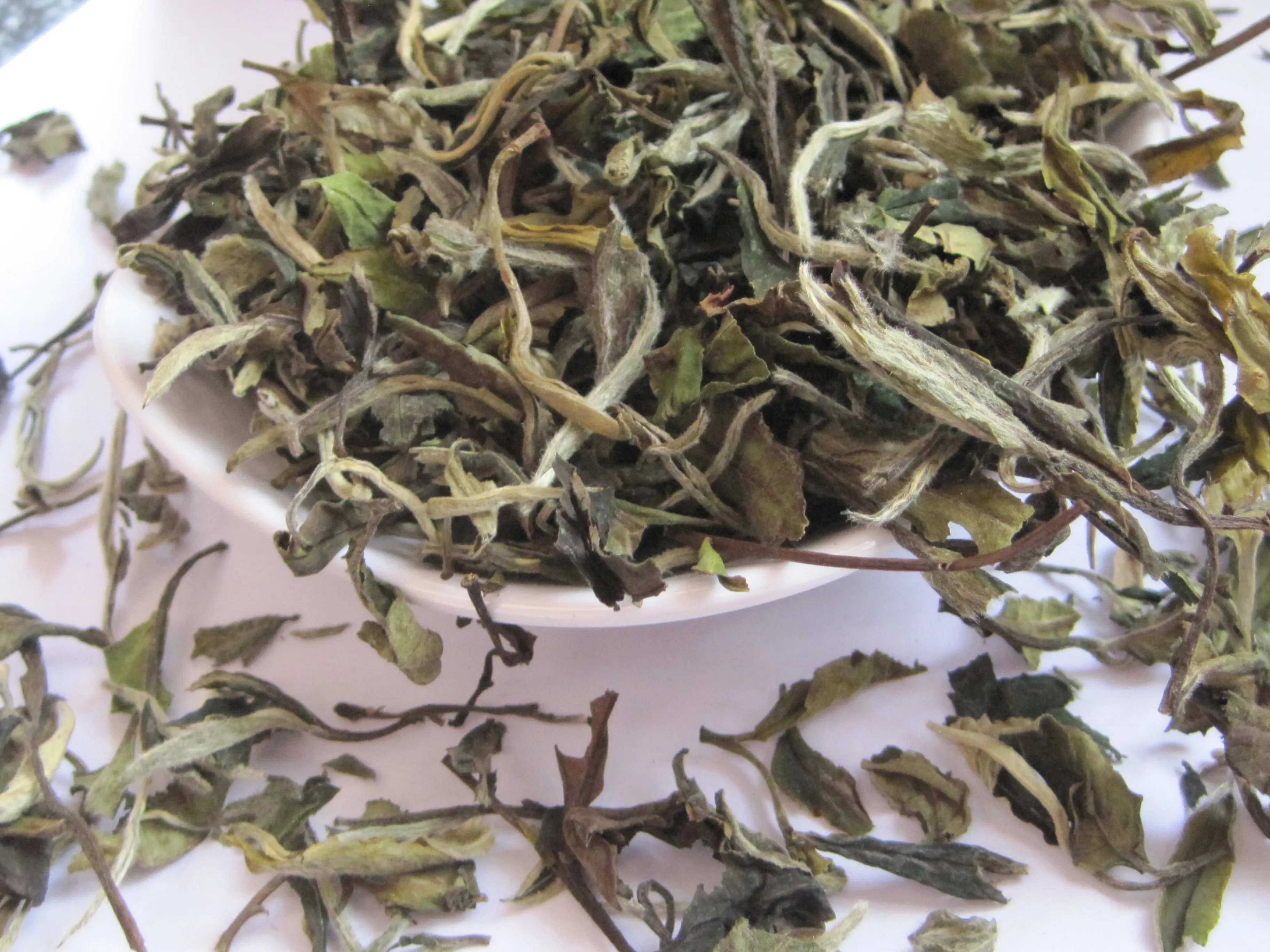 2022 EU certified High Quality White Tea Loose Leaf Pai Mu Tan Bai Mu Dan White Peony Tea