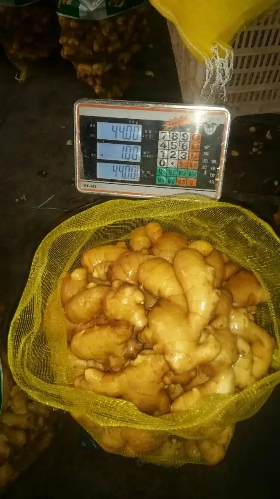 
Fresh ginger specification 