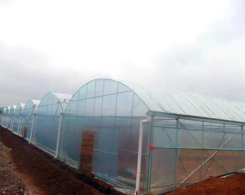 
multi span agriculture greenhouse 
