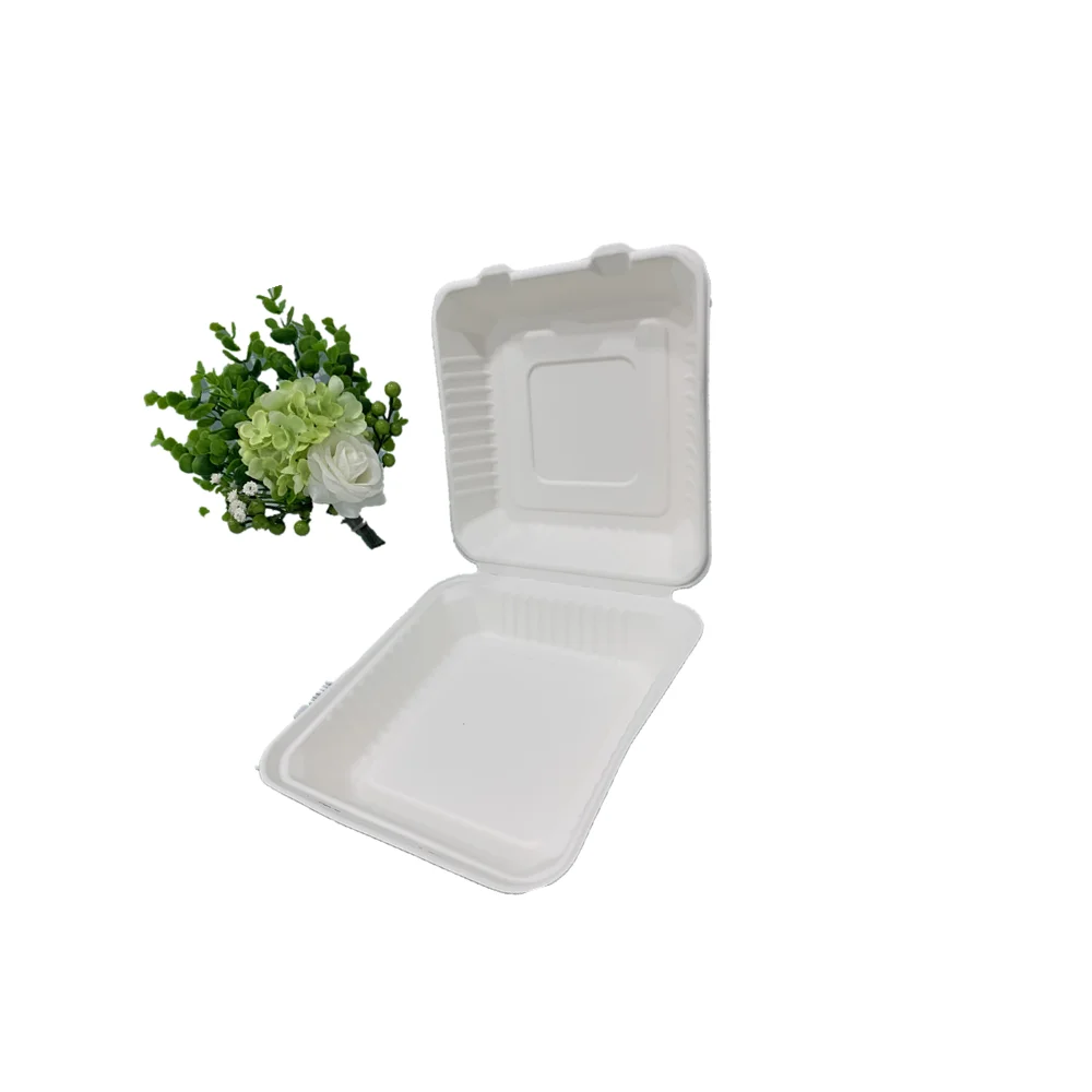 Take away biodegradable freezer safe lunch box