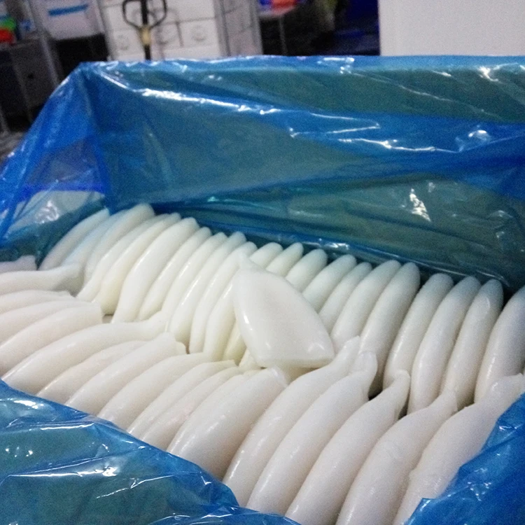
wholesale Fresh frozen squid for sale indian squid squid tube 