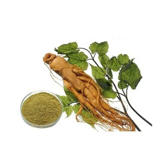Korean Ginseng P.E. , Korean/China Ginseng Extract , Ginseng Seed Ginseng Powder Concentrate