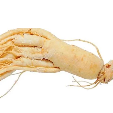 Boost the Immune System  Instant Ginseng tea in granules 18g*20 sachets/box packing