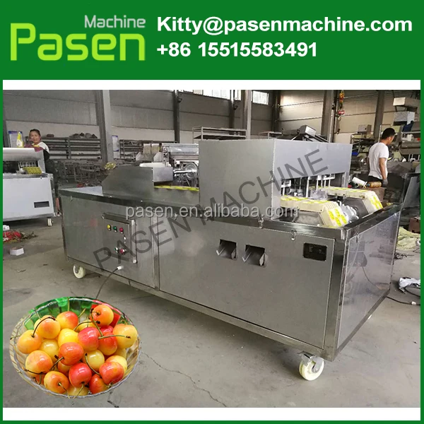 Cherry Вишневый Питтер/оливковая косточка Удалить машина/ядро питтинг машина