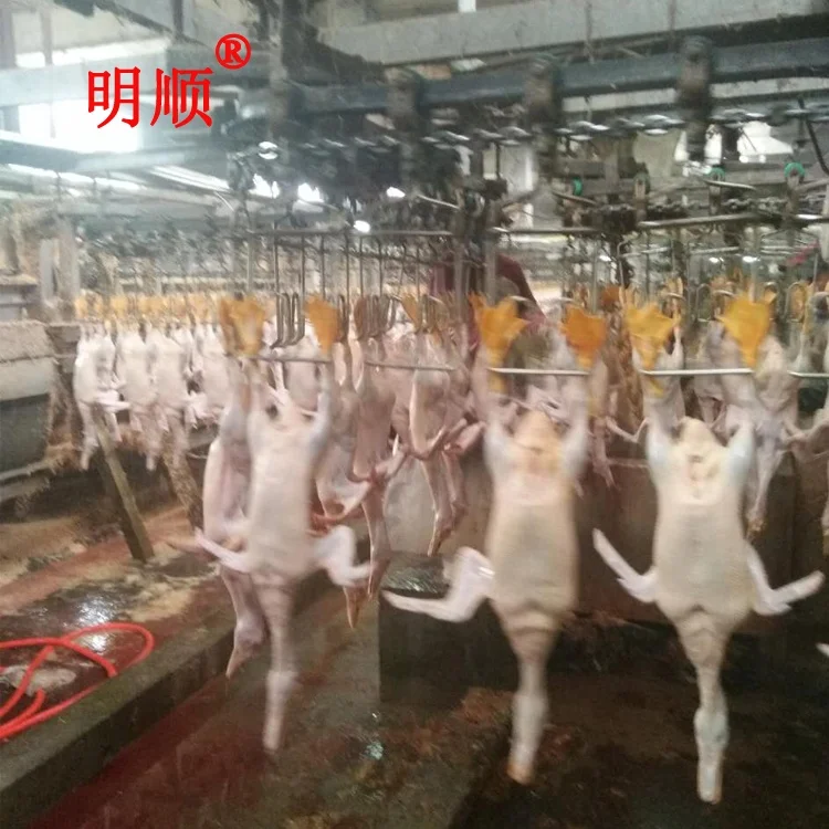 
chicken butchery plant for boiler chicken / duck processing line plant /automatic duck slaughter equipment 