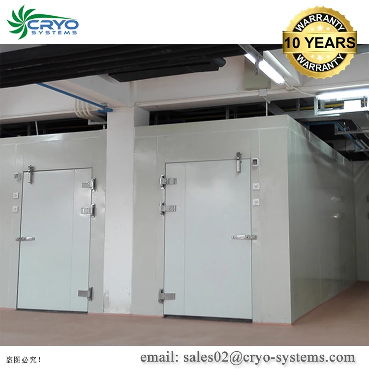 Холодное помещение для мороженого и стоимость проекта холодного хранения овощная холодная комната