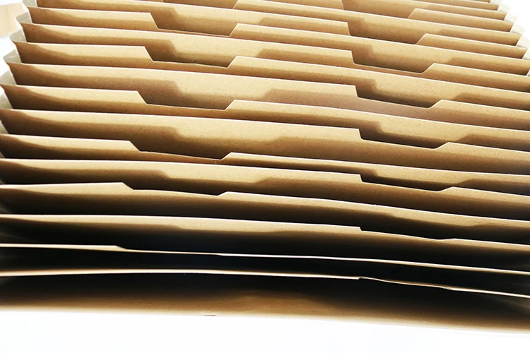 Many Color Decorative Customized Types of File Covers A4 Size Poly Document Accordion Expanding File Folder