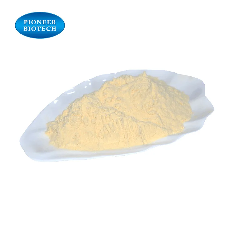 
High Quality Alginic Acid Powder 