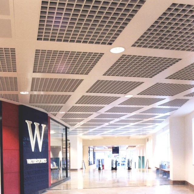Black Grid Ceiling Decoration For Store Office Building Ceilings
