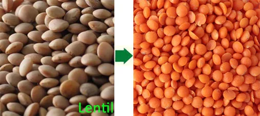 lentil peeling machine 200kg/h dry lentils dehuller  lentil peeler spanish lentil husking machine masoor/channa lentil plant