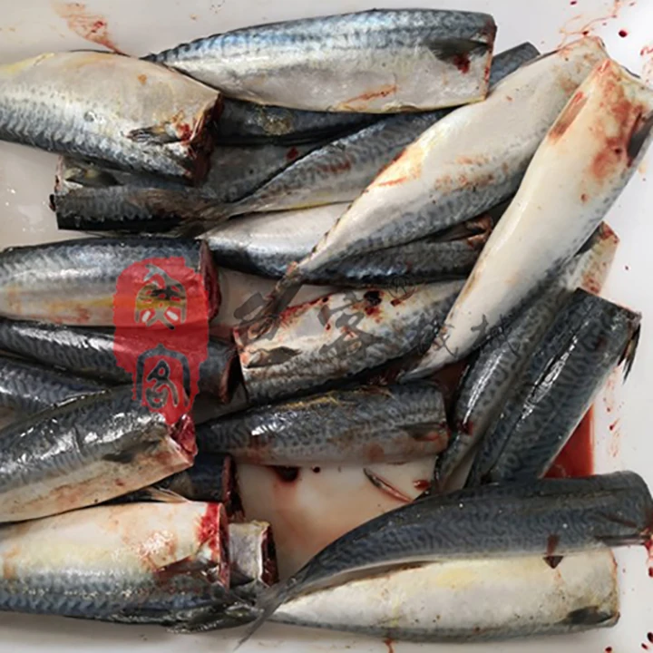 Tilapia Fish Cutting Machine Electric Cod Saury Head Cutter for sale in usa Auto fish processing machine