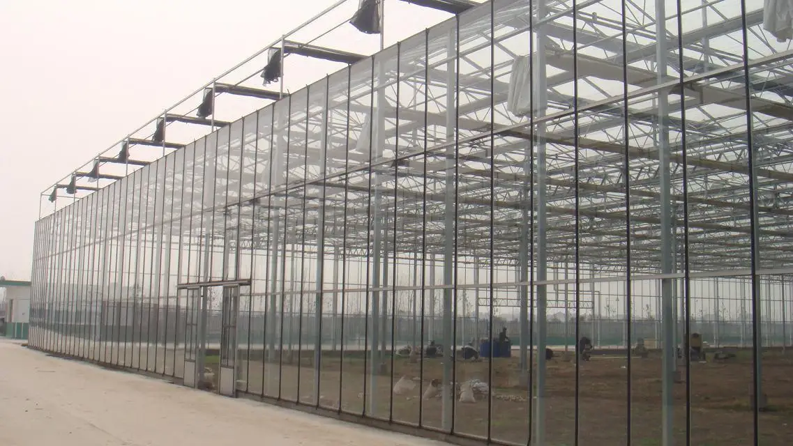 
long life multi span polycarbonate sheet greenhouse 10mm 