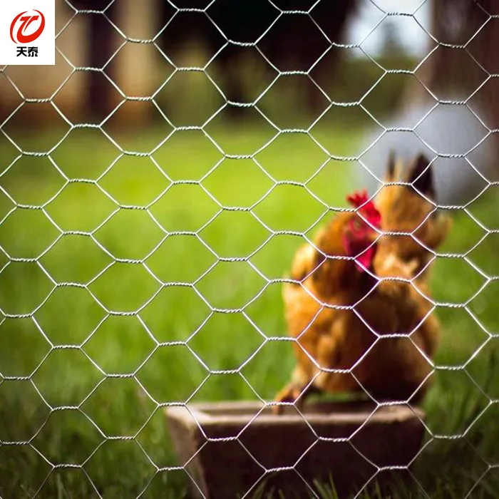 25mm mesh sizes 20gauge 900mm x 25mtrs roll Hexagonal wire mesh netting for chicken wire