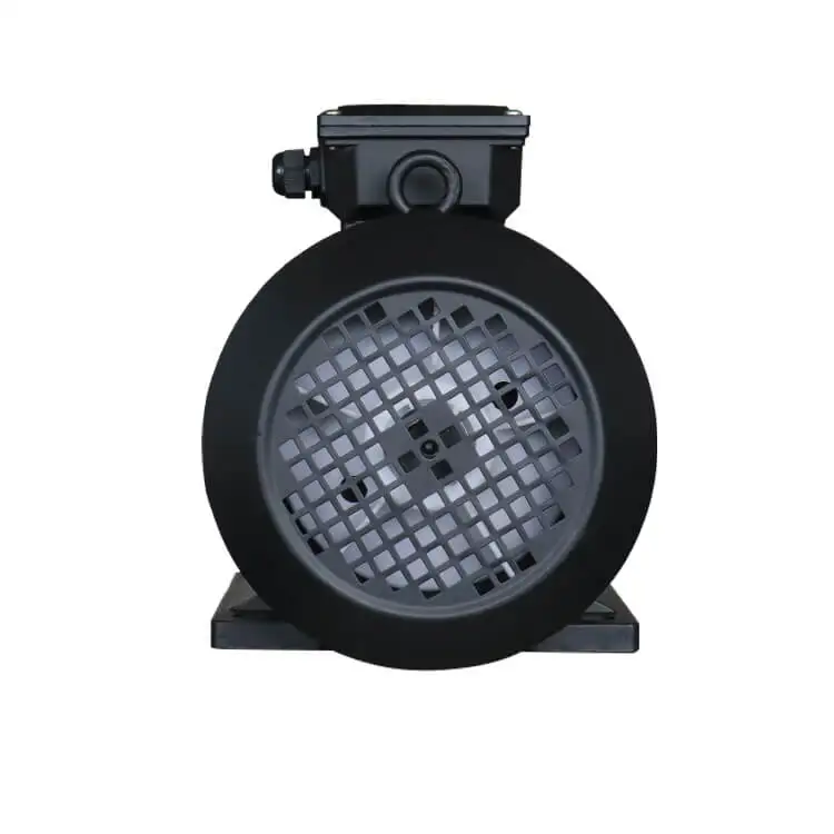 HS 713-4 0.55KW 0.75HP Hollow Shaft Motor AC 3 Phase 415V 50HZ