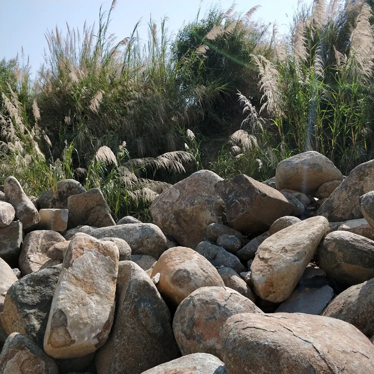 Natural Landscaping Stone Garden Big Size Pebble River Stone for Flower Planter Pot