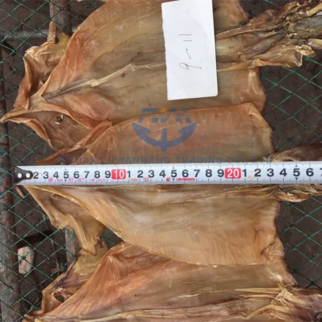 
Dried Equator Squid For Korea Market 