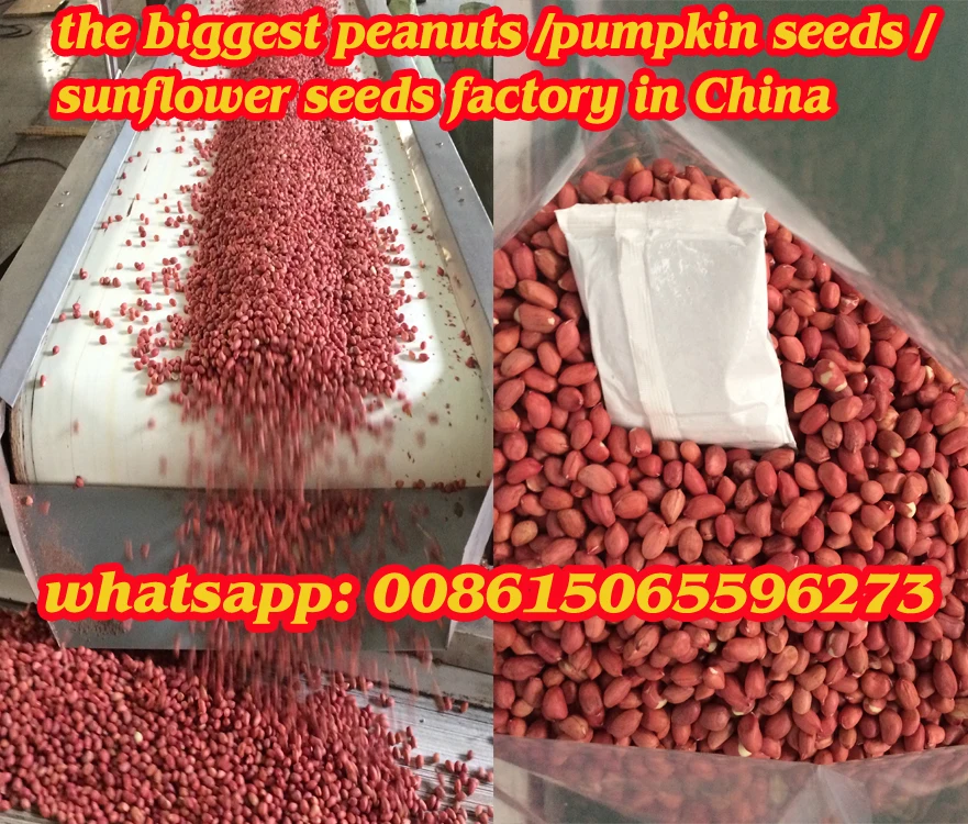 China shandong silihong red skin peanuts kernels 40/50 50/60 60/70 80/100