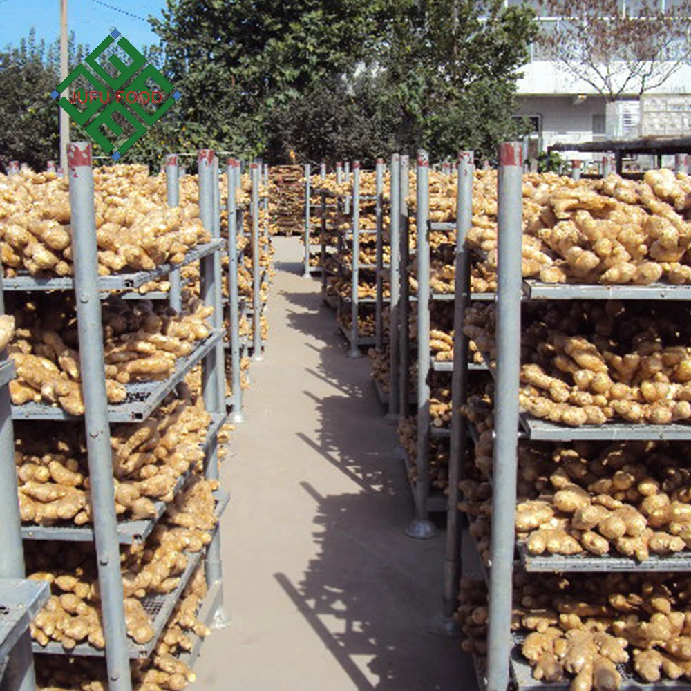 
High Quality Dried Whole and Split Ginger Supplier 