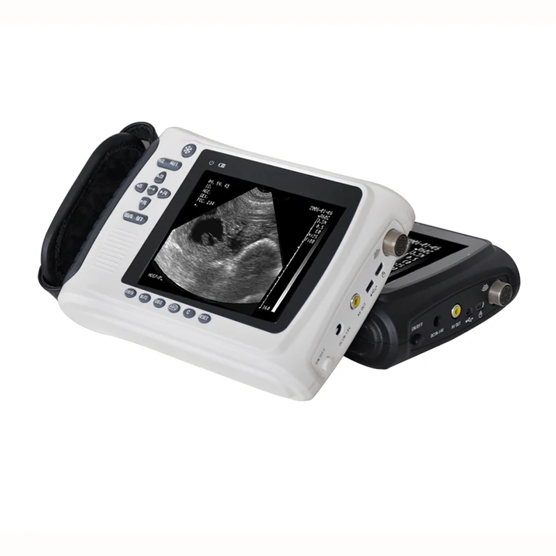 Ultrasound Scanner For Sheep