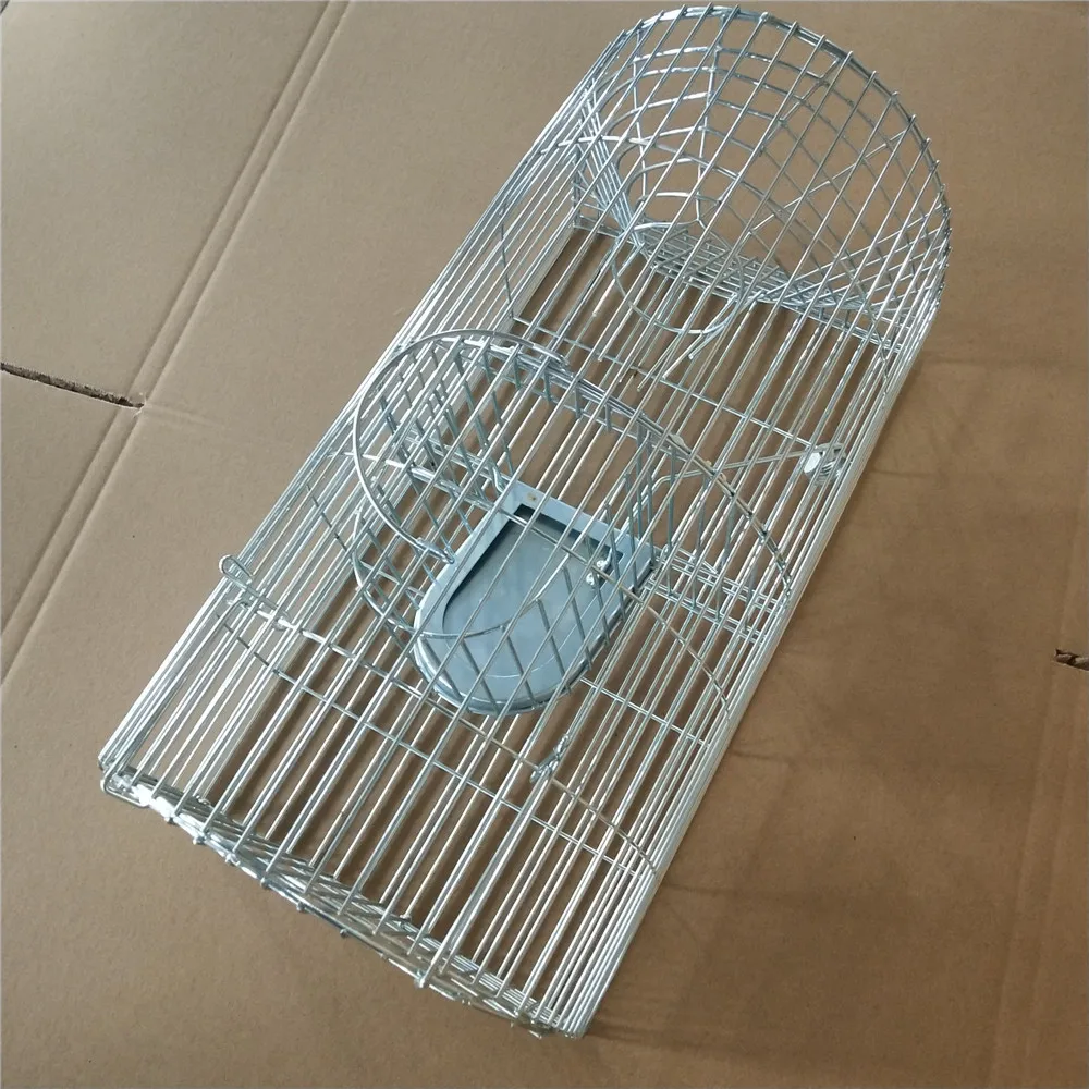 Chinese black Powder Coating Rabbit Cage trap