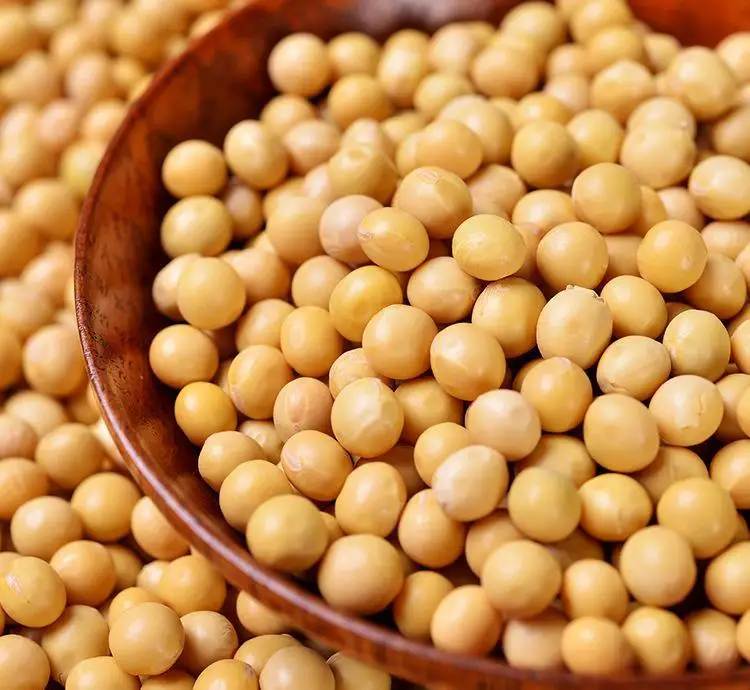 
Natural Soybean Extract Powder Soybean Peptide CAS 574-12-9 Soy Peptide Powder 