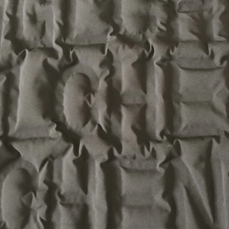 Custom Printed Durable Waterproof Polyester Down Jacket Fabric