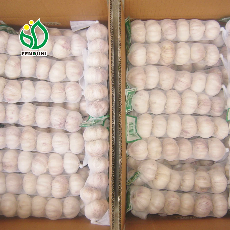 
2019 Garlic Fresh/Alho fresco/Ajo fresco/Ail frais 