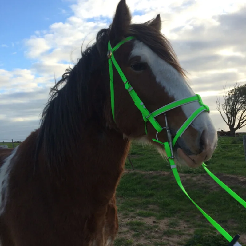 
Hot Selling Horse Saddle PVC Dressage Horse Bridle With 2 Nose Band For Equestrian Supplies 