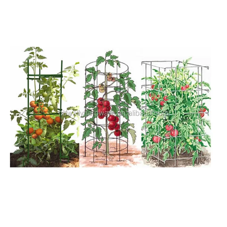 Tomato Cone Cage Support Conical Plant Support Rings