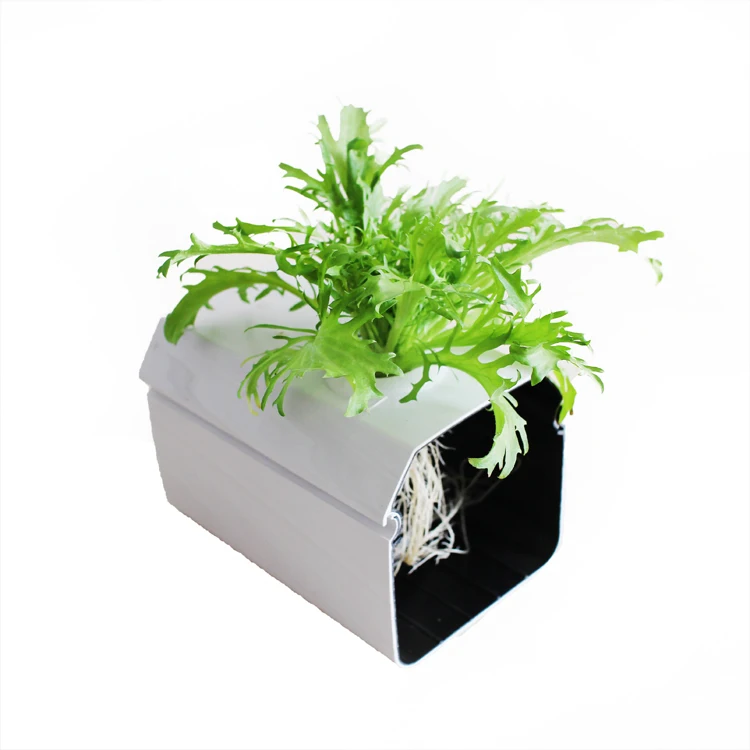 Hydroponics greenhouse system nft gully channel