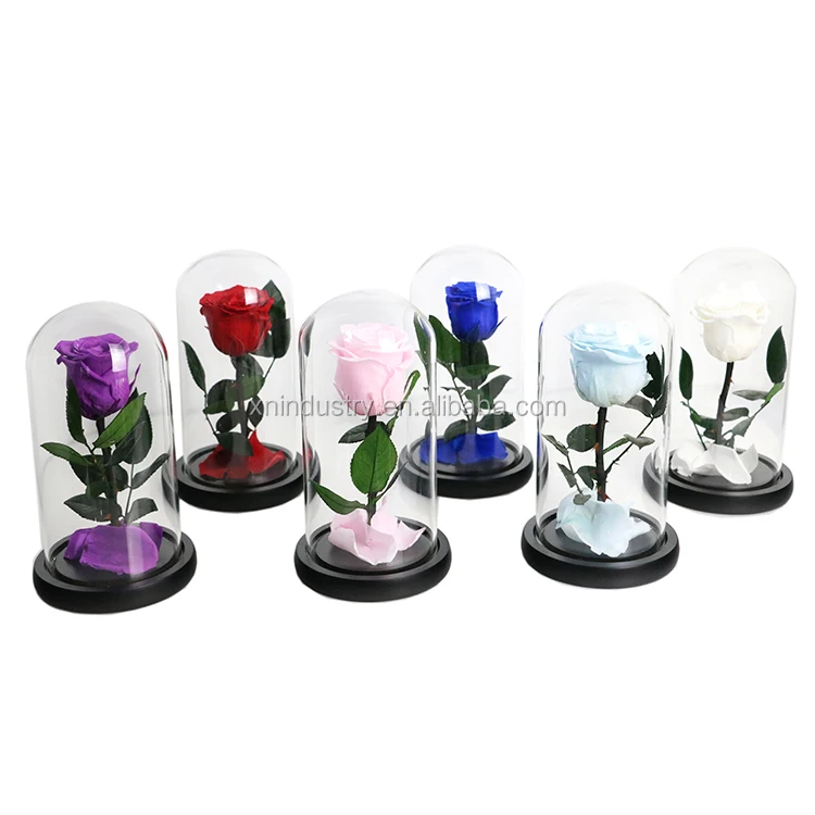 High Quality Valentines Day Gifts Natural Roses Boxes the Little Prince Rose Eternal Preserved Rose in Glass Dome