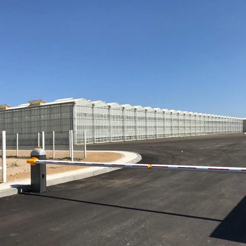 high light transmission greenhouse glass panels with 8mm polycarbonate sheet