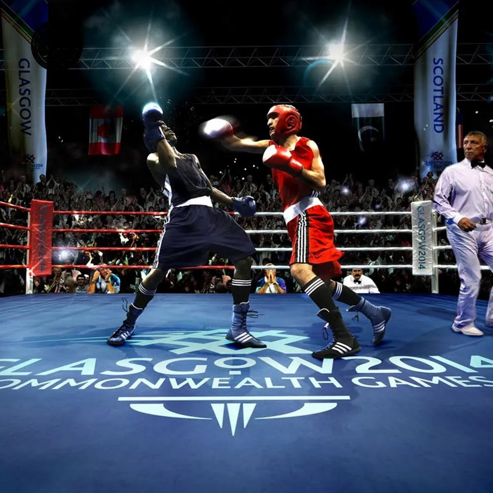 Factory Sale price boxing ring canvas cover With Strong Ropes