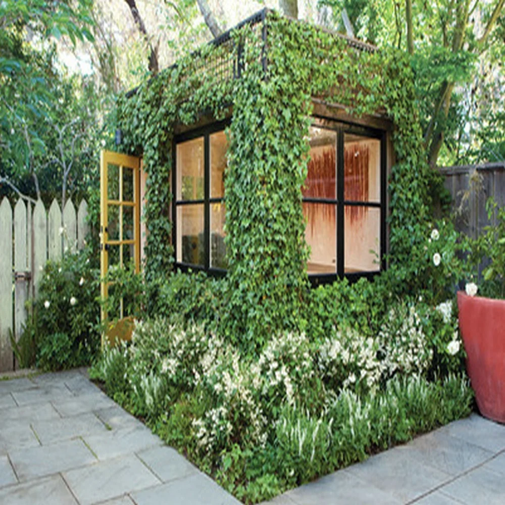 Natural Color New Design DIY Customized 5-10 Years New Design DIY Customized Green Wall Vertical Garden with Foliage Grass