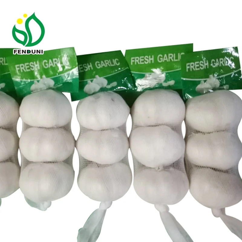 Органический чеснок свежий чеснок 250 г/пакет, принимает массу весом до 5 кг/коробка для Судан