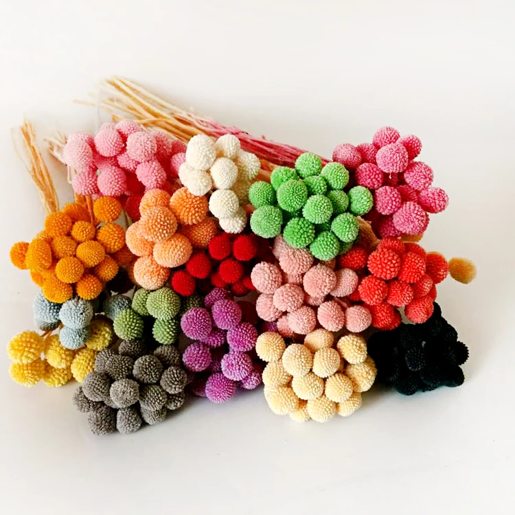 
Christmas Wreaths Decorations Preserved Flower Material for Flower Arrangement 