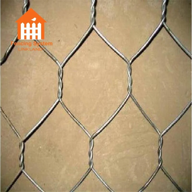 Galvanized Hexagonal wire mesh/Chicken wire mesh