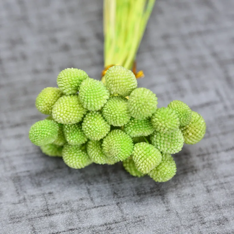 Preserved Flower Craspedia Wholesale Preserved Foliage Preserved billy ball