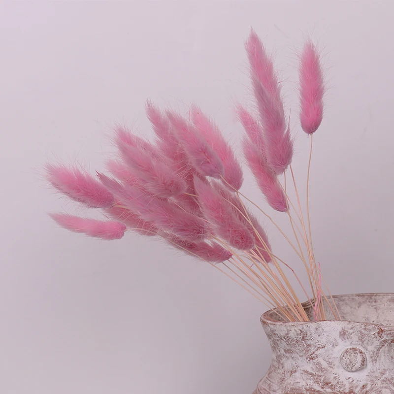 
Dried plants and flowers ornament floral dried tail grass dried flower 