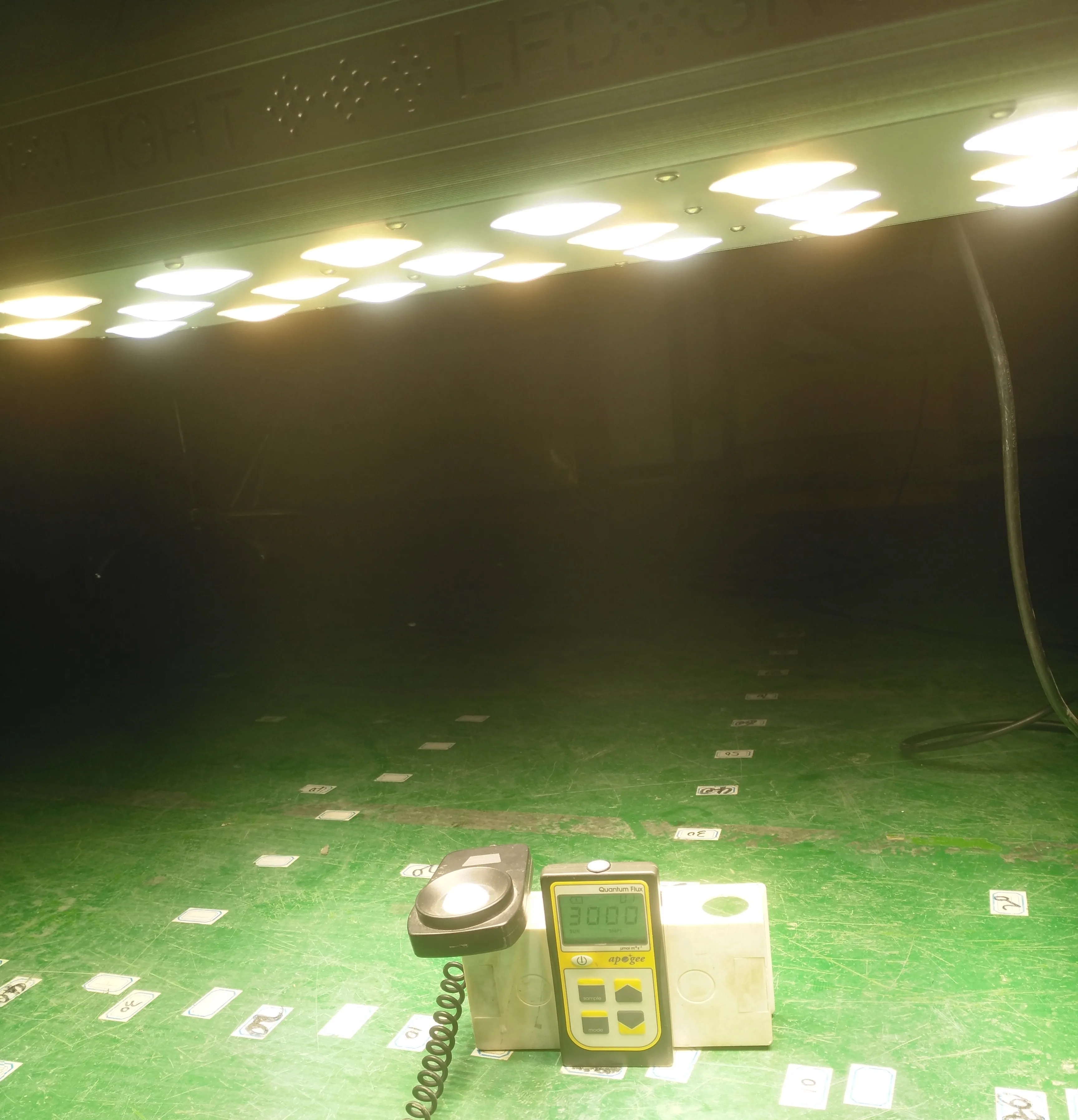 2019 best hydroponic true full spectrum CRI 97 led grow light for indoor and greenhouse lighting 600w Crees cob led grow light