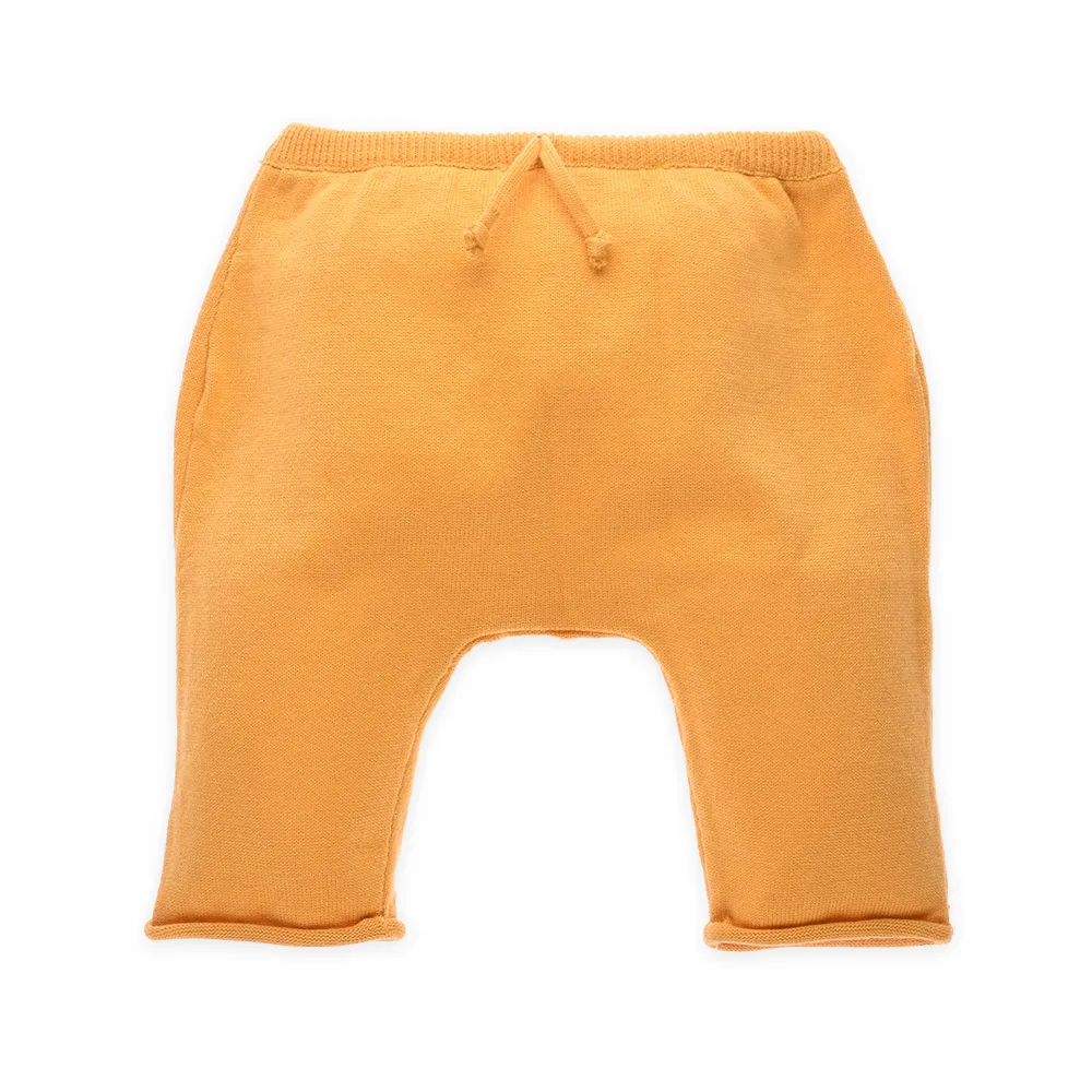 Оптовая продажа; однотонные хлопковые трикотажные шорты; брюки для маленьких мальчиков